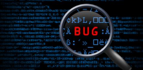 Bug Detection