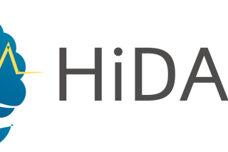 hidalgo logo